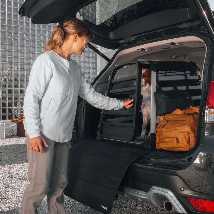 Thule Allax L