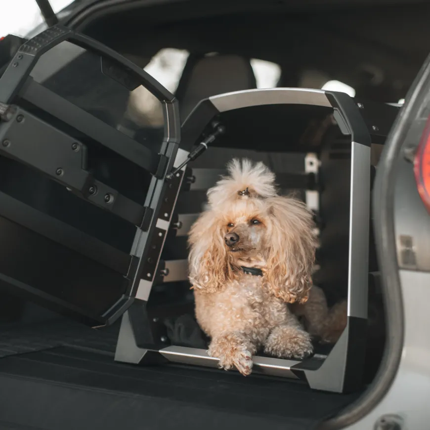 Thule Allax L