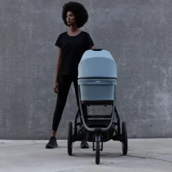 Thule bassinet