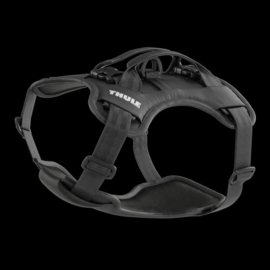 Thule Cappy