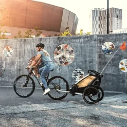 Thule Chariot Lite single