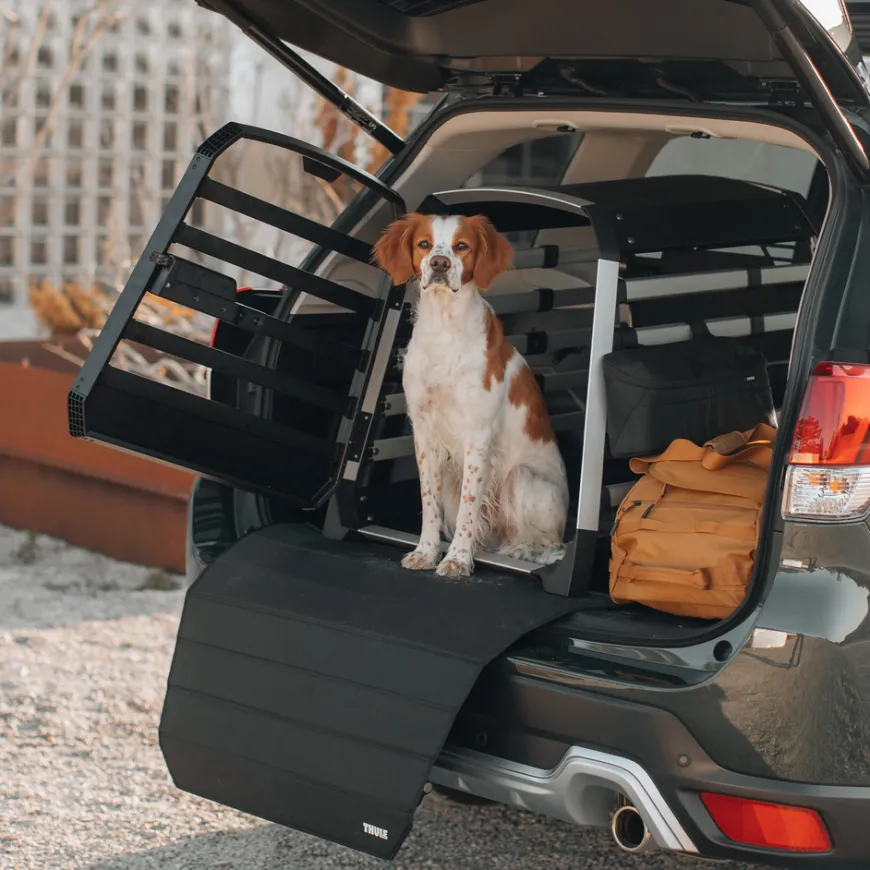 Thule dog crate leash hook